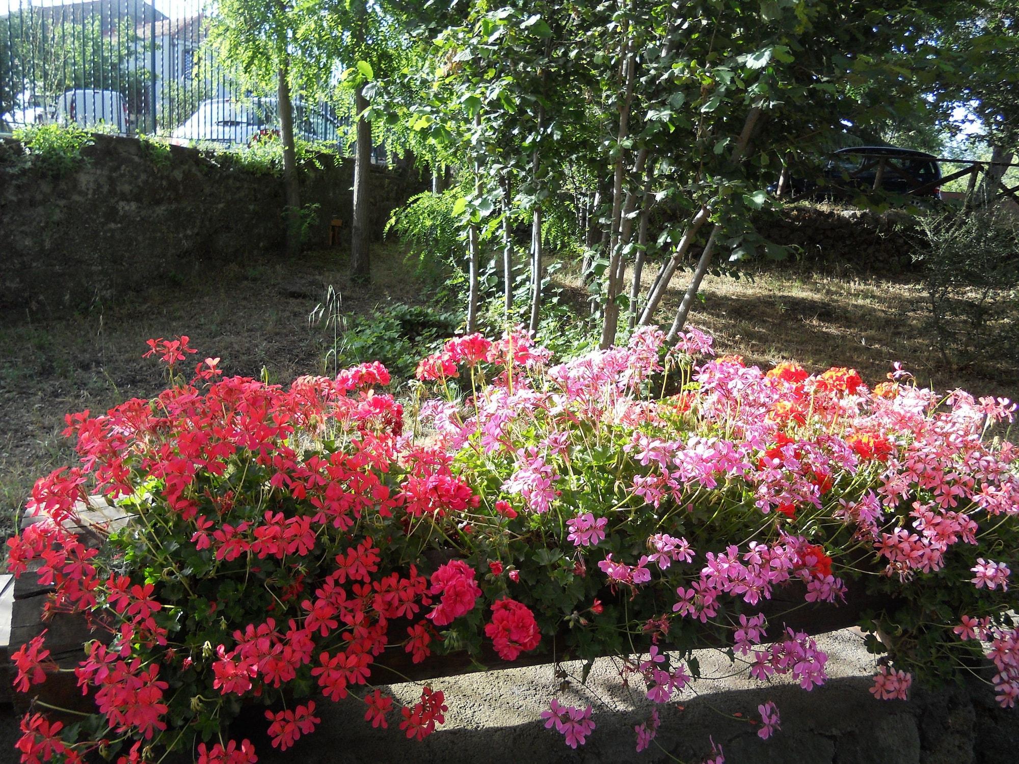 L'Infinito Agriturismo - Rooms & Breakfast SantʼAlfio エクステリア 写真